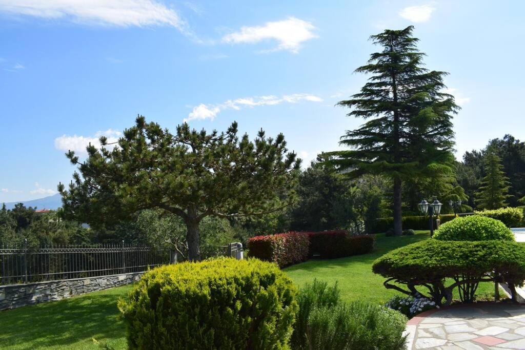 Villa Casa Chrissy Plagiárion Exteriör bild