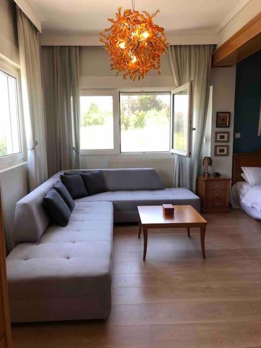 Villa Casa Chrissy Plagiárion Exteriör bild
