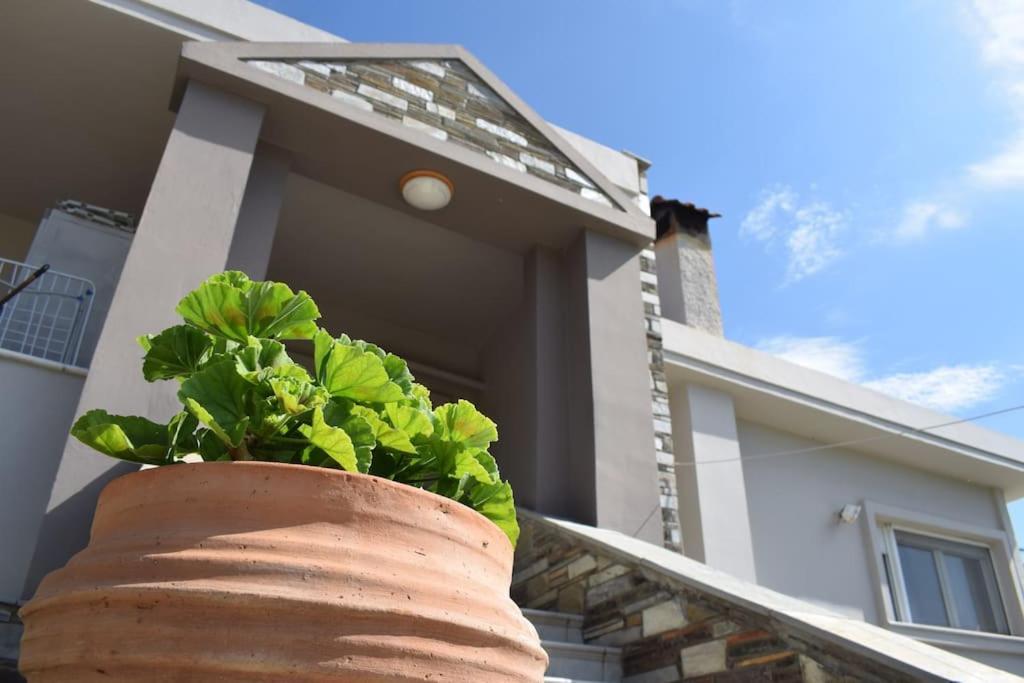Villa Casa Chrissy Plagiárion Exteriör bild